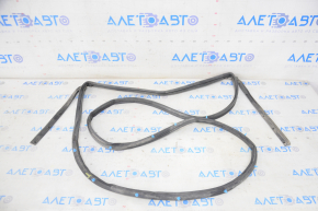 Rear left door seal for Nissan Rogue 08-15