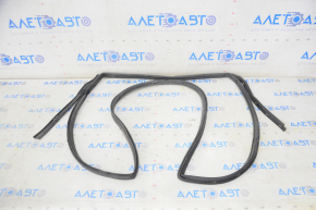 Rear right door seal for Nissan Murano z51 09-14