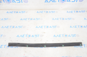 Rear left door seal Toyota Avalon 13-18 lower