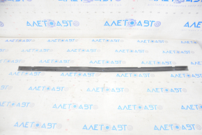 Front right door seal Toyota Avalon 13-18 lower