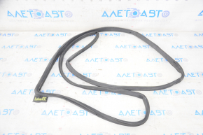 Rear right door seal for Toyota Avalon 05-12