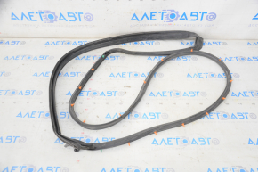 Toyota Camry v40 rear left door seal