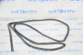 Toyota Camry v30 2.4 rear left door seal