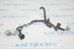 Wiring front headlight Lexus RX350 RX450h 13-15 rest, xenon