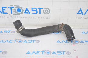 Lower cooling hose Lexus RX350 RX450h 10-15