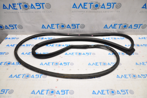 Front left door seal Subaru Outback 20-23