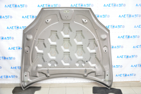 Naked hood Tesla Model S 12-15 prerest, brown PPTI, sand