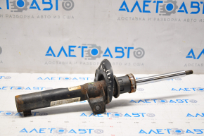 Shock absorber front left VW Jetta 11-18 USA d50mm, rust
