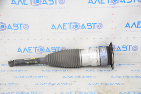 Air shock absorber rear left Tesla Model S 12-15 prerest AWD
