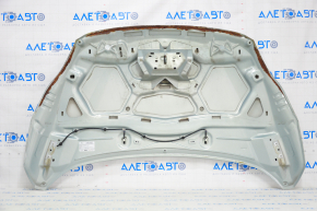 Bonnet bare Ford C-max MK2 13-18 blue YQ, rust