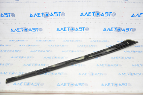 Roof trim right Tesla Model S 12-20 gloss, black, plugs on the edge, cut