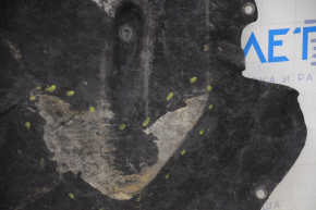 Bottom protection left Ford C-max MK2 13-18 worn, torn