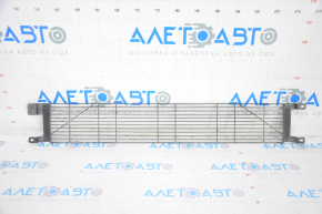Radiator mesh protective Chevrolet Volt 11-15 type 2