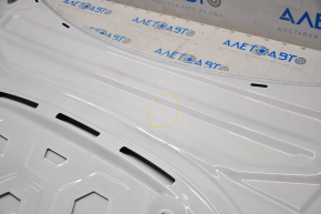 Tesla Model 3 18 bare hood - white, edge touch-up, dents, creases, scratches