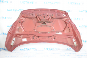 Bonnet bare Ford C-max MK2 13-18 red RR, rusty, paint blistered, bump