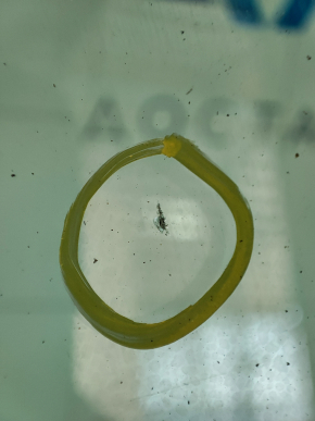 Windshield Nissan Leaf 11-17 sand, scratches