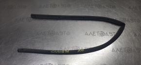 Dodge Charger 11 Front Right Door Seal - Lower