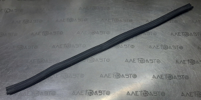 Front left lower door seal Toyota Sequoia 08-16