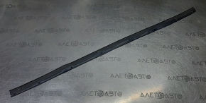 Front left door seal Nissan Sentra 13-19 bottom