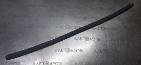 Front left door seal Honda Civic X FC 16-21 4d lower, torn