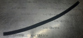 Nissan Sentra 20-24 front left door seal lower