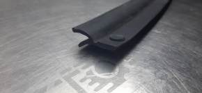 Nissan Sentra 20-24 front left door seal lower