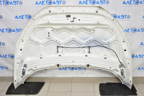 Naked hood Ford Ecosport 18-22 white ZA
