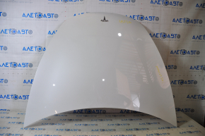 Tesla Model 3 18 bare hood - white PPSW scratches on edge and corners