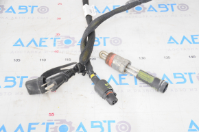 Cylinder Block Heater Ford Ecosport 18-22 2.0 Complete with Wiring