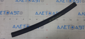 Rear left door seal Nissan Sentra 20-24 lower
