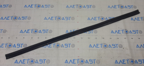 Nissan Altima 13-18 Front Left Door Seal Lower