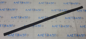 Nissan Altima 13-18 Front Left Door Seal Lower