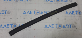 Nissan Altima 13-18 lower rear right door seal