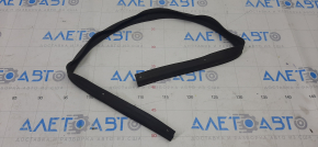 Mitsubishi Outlander Sport ASX 10 front left door seal - lower