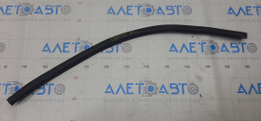 Subaru Outback 15-19 rear left door seal lower