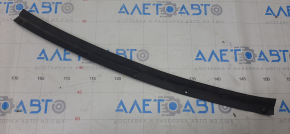 Rear left door seal Nissan Altima 13-18 lower