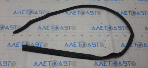 Acura TLX 15 rear right door seal - lower