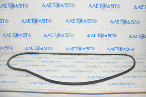 Front left door seal BMW 7 G11 G12 16-22