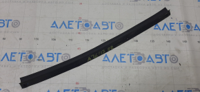 Door seal rear right Nissan Maxima A36 16- lower