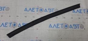 Door seal rear right Nissan Maxima A36 16- lower