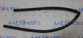 Dodge Charger 11 Front Left Door Seal - Lower