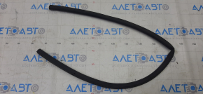 Dodge Charger 11 Front Left Door Seal - Lower