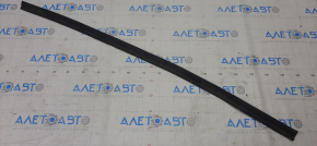 Front left door seal Nissan Maxima A36 16- lower