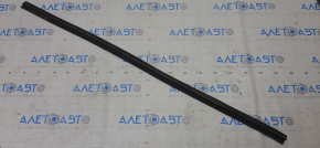 Front left door seal Nissan Maxima A36 16- lower