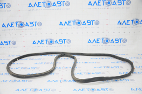 Lincoln MKZ 13-20 rear left door seal