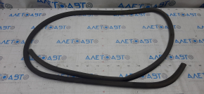 Front left door seal for Lexus LS460 LS600h 07-12