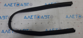 Acura ILX 13 Front Left Door Seal - Lower