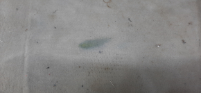 Floor covering Lexus RX450h 10-15 gray, torn, needs dry cleaning