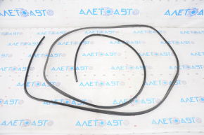 Panorama seal VW Tiguan 09-17