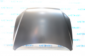 Naked hood VW Passat b7 12-15 USA